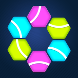 Hexa Puzzle